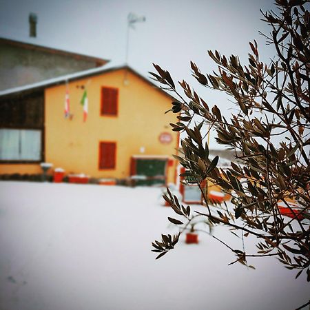 La Valle B&B Asti Bagian luar foto