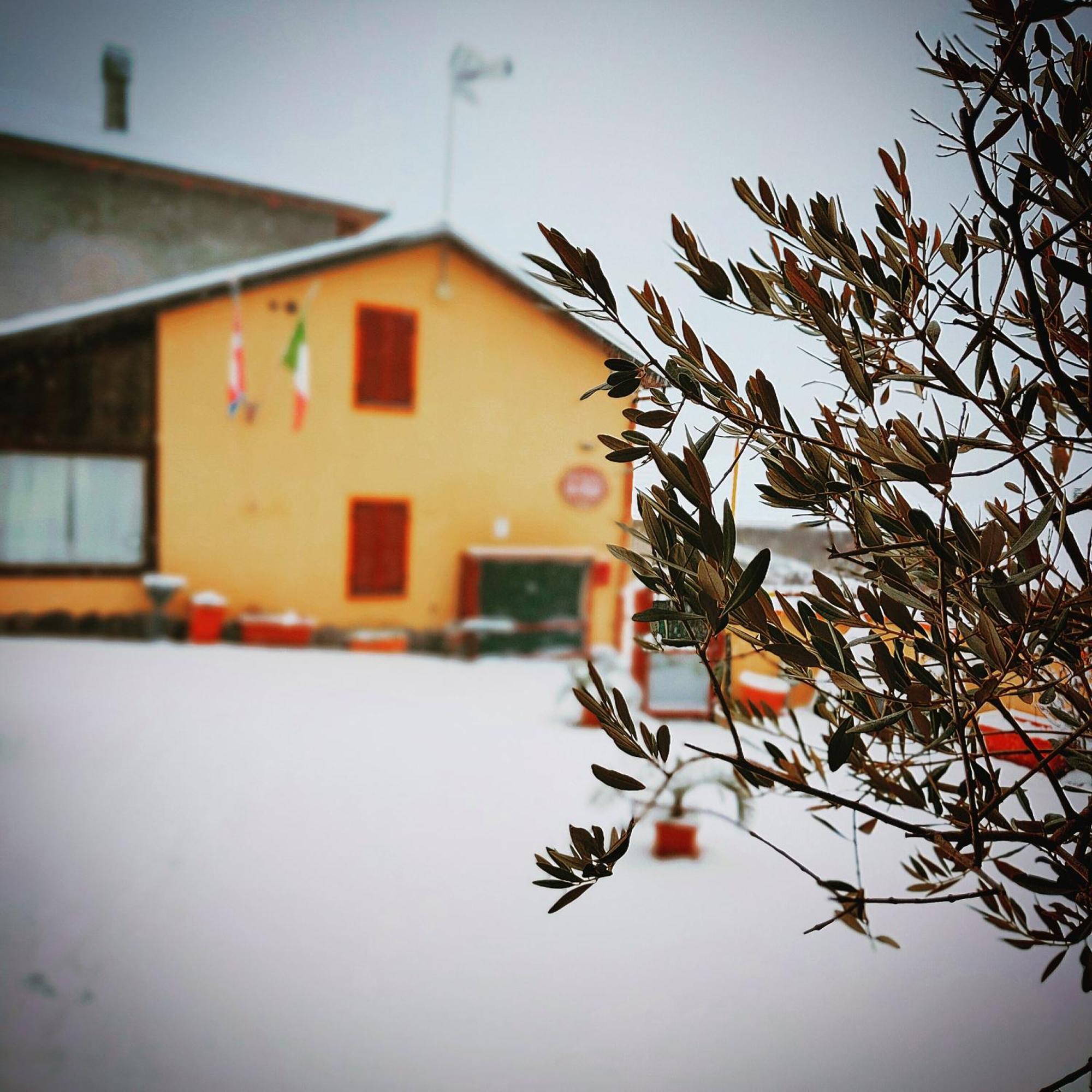 La Valle B&B Asti Bagian luar foto